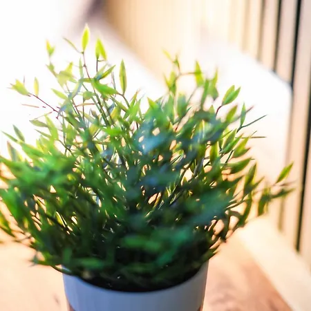 75qm Luxusapartment In Perfekter Lage