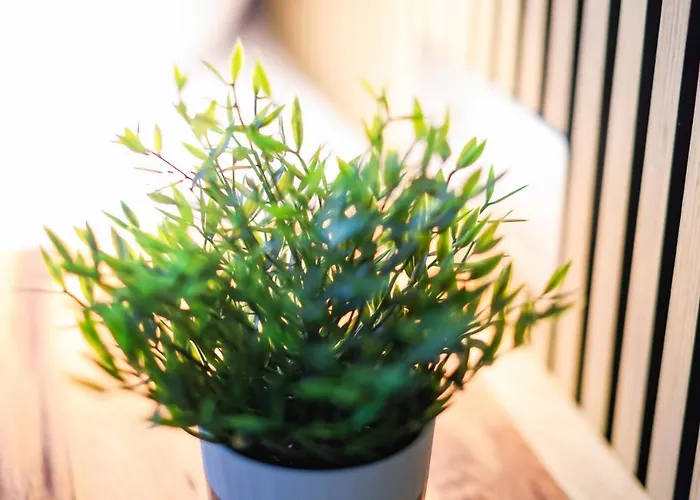 75qm Luxusapartment In Perfekter Lage