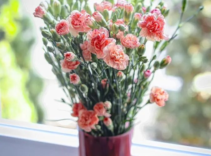 75qm Luxusapartment In Perfekter Lage *